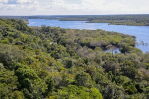 Imposto Seletivo sobre extração na margem equatorial: riscos jurídicos, econômicos e propostas de mitigação